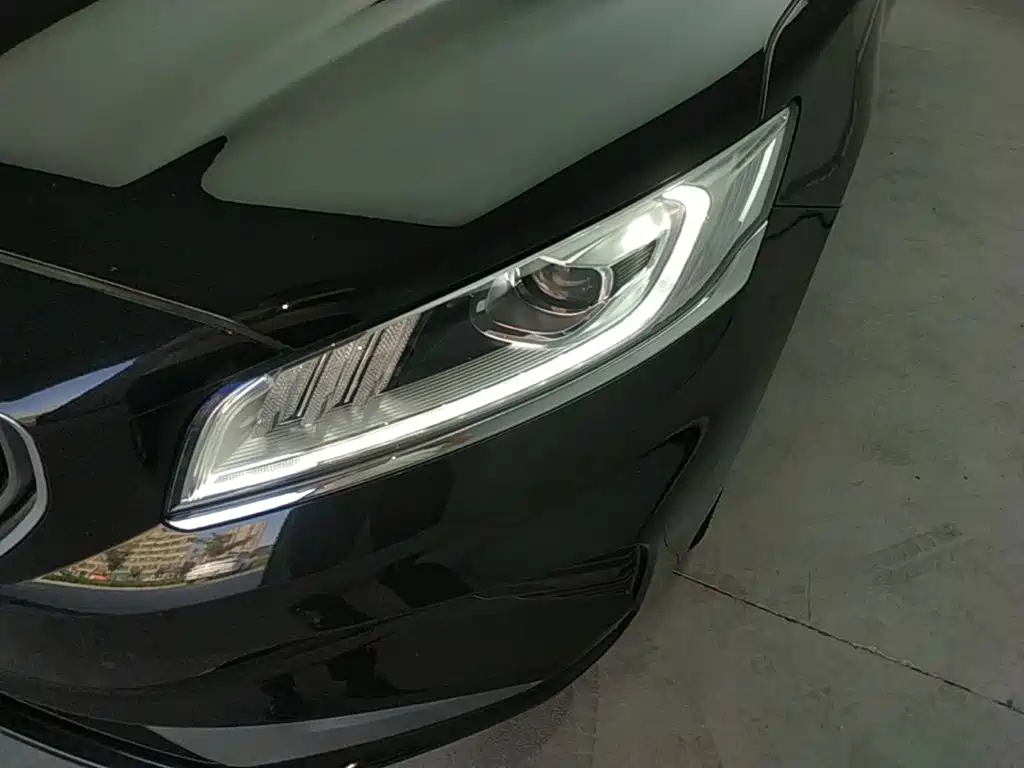 Фото 24 - Geely Borui