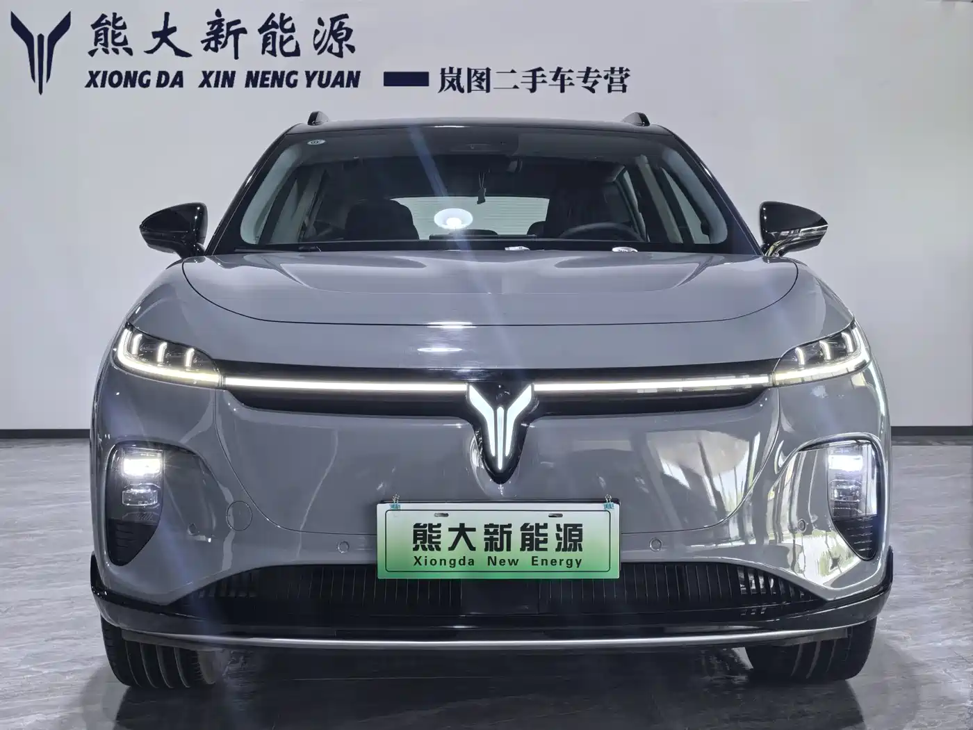 Voyah Auto Voyah Zhiyin 2024 Long Range Smart Edition фото 2