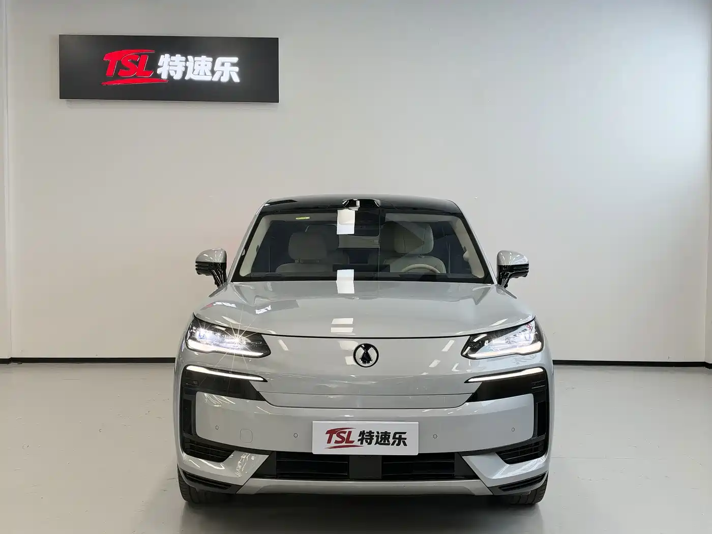 Denza N9 2025 2025 Model Prestige Edition