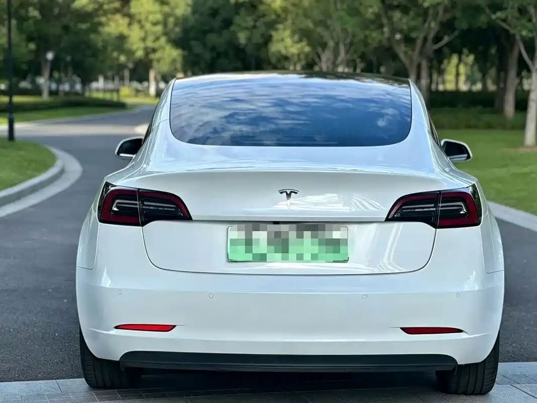 Tesla Model 3 (Import) 2019 2019 Standard Range RWD Upgraded Edition