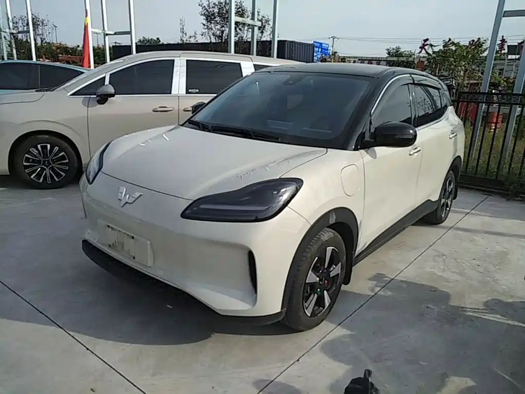Wuling Motors Wuling Binguo PLUS 2024 Model 330km 5-Seater