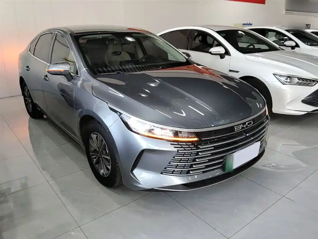 BYD Destroyer 05 2024 DM-i 55KM Pilot Glory Edition фото 4