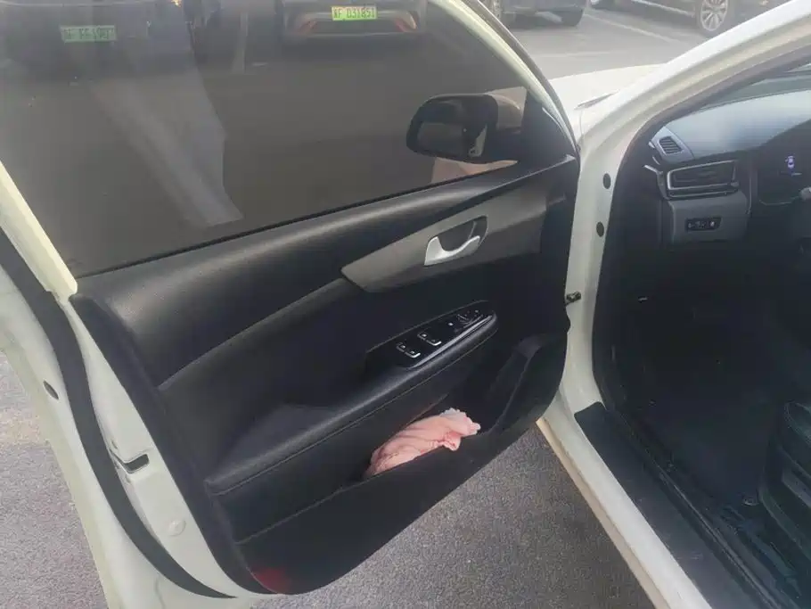 Kia Forte 2018 2018 1.6L Automatic Smart Connect Value-Connect