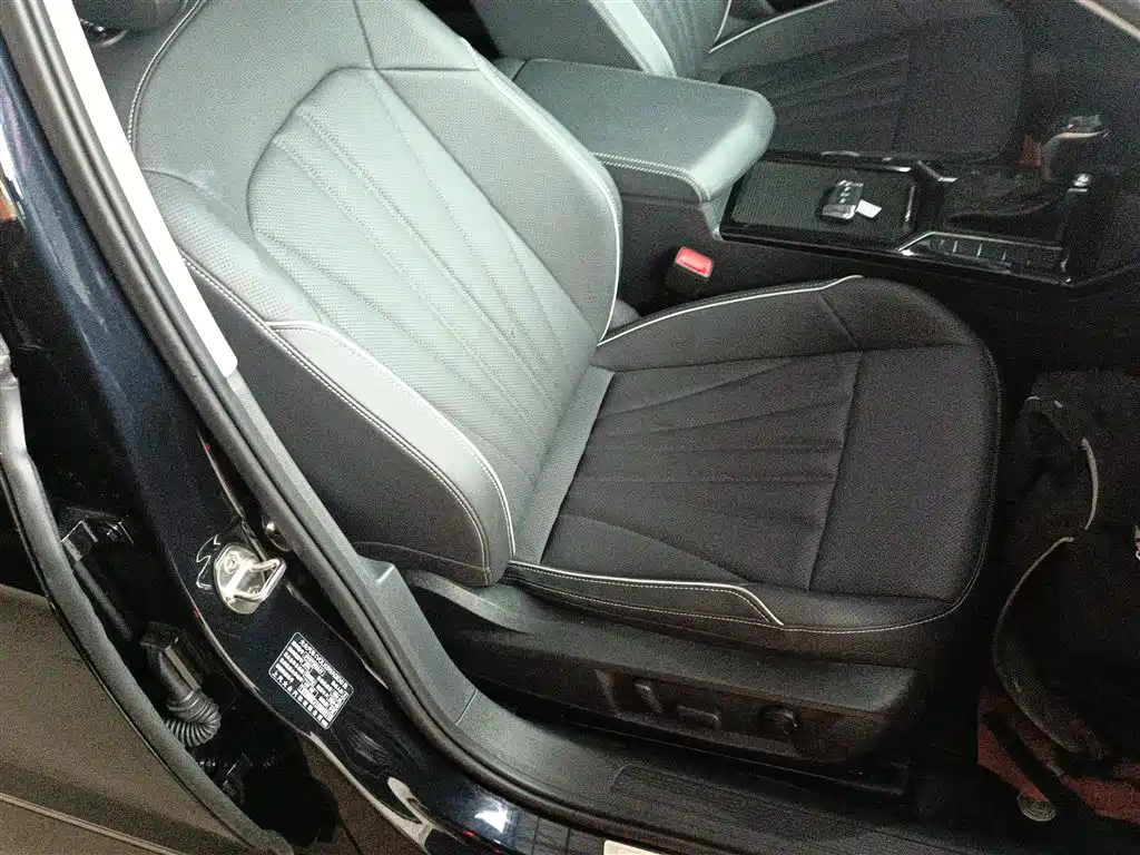 Volkswagen Passat 2024 330TSI Starlight Elite Edition фото 20