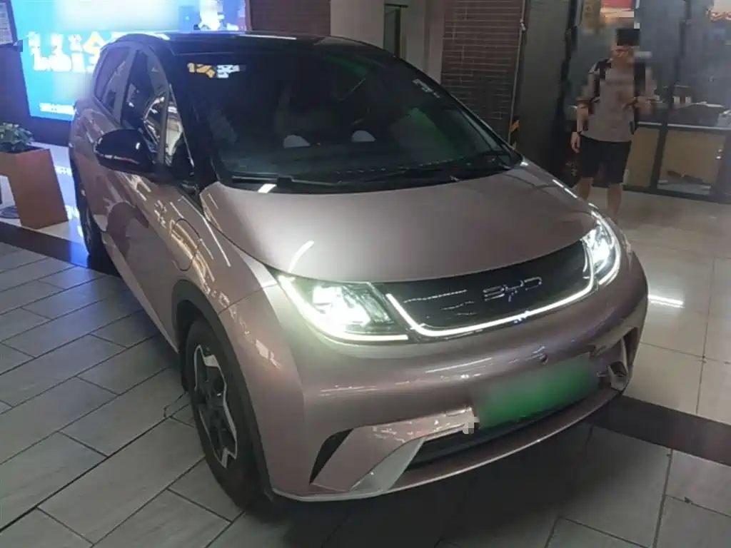 BYD Dolphin 2021 Model 405km Fashion Edition фото 4