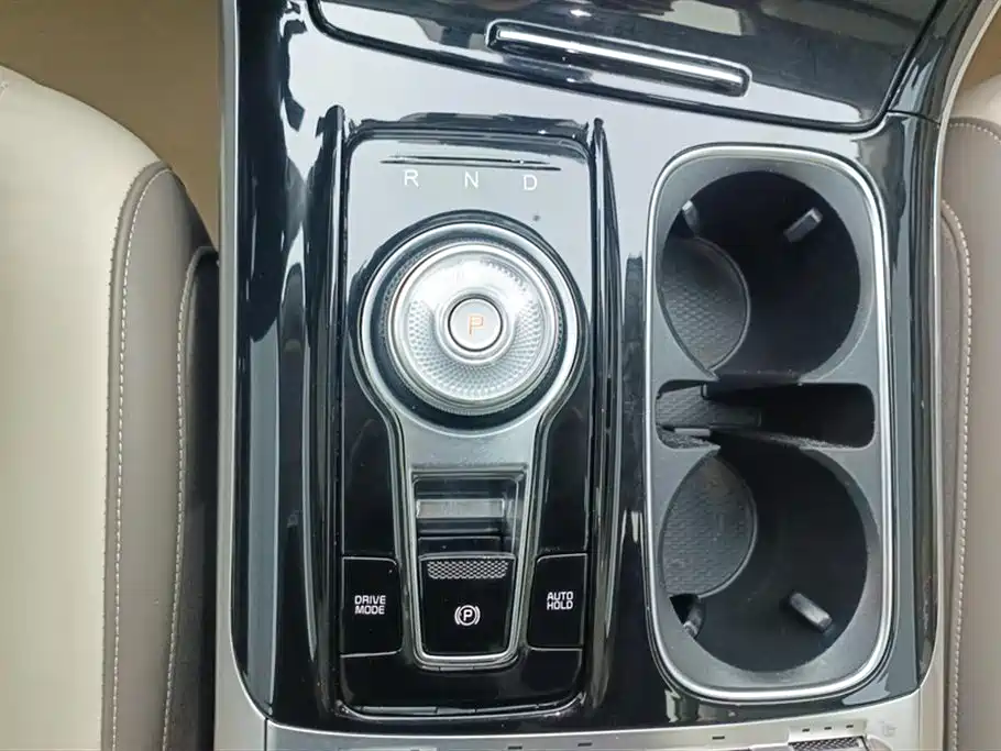 Kia Carnival 2021 2.0T Flagship Edition фото 16