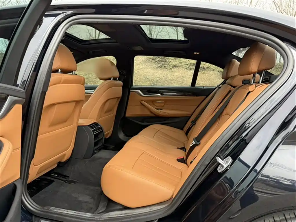 BMW 5 Series 2018 Facelift 530Li Leading M Sport Package фото 14