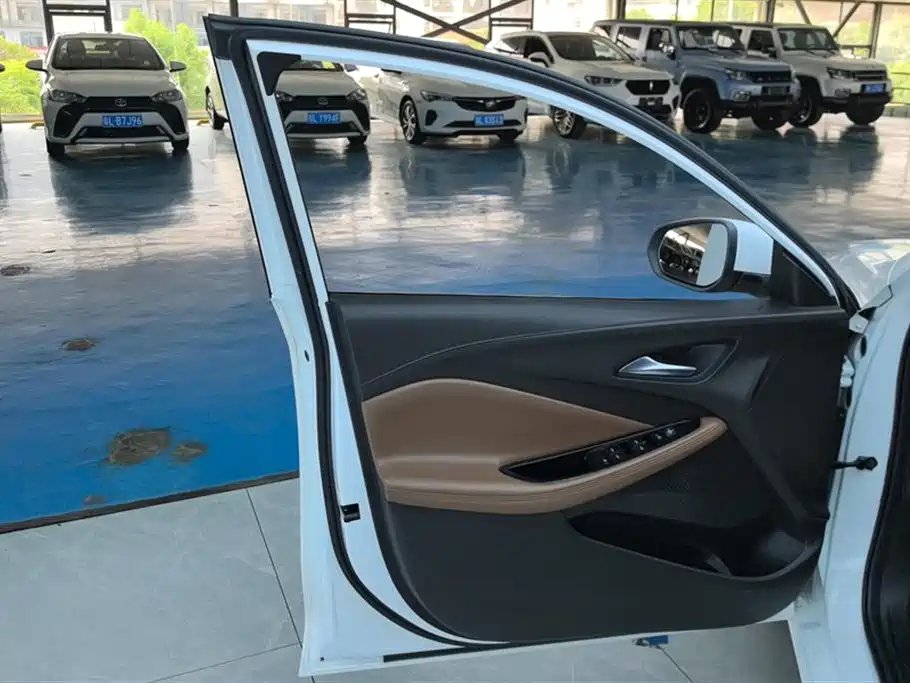 BUICK WEILANG