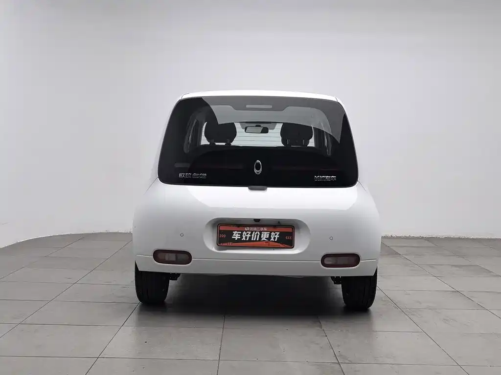 Ora White Cat 2021 2020 305km Luxury