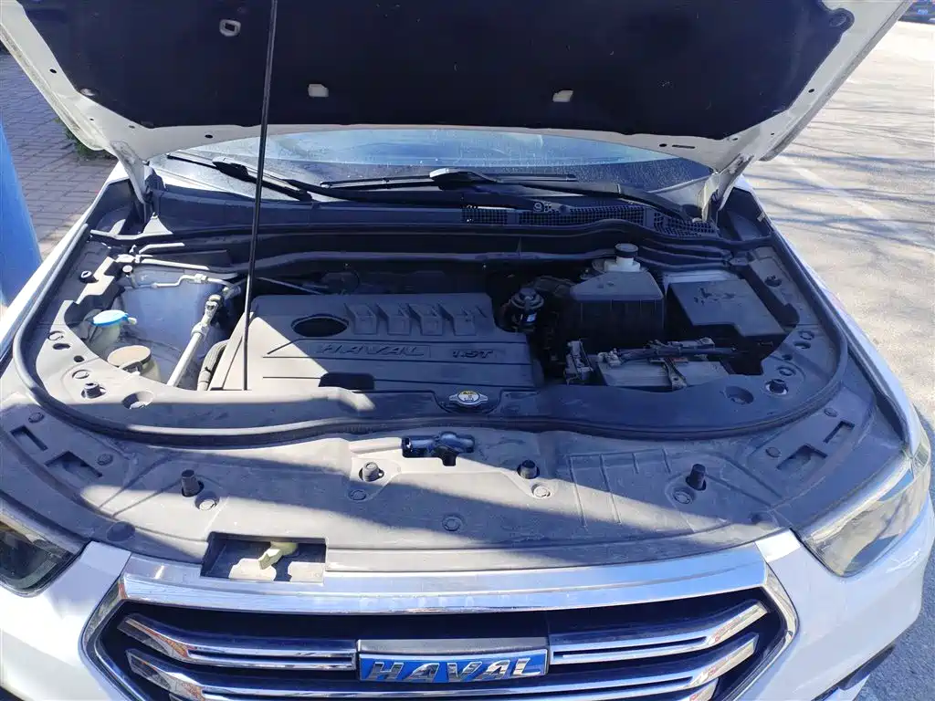 Haval H6 2018 Blue Label Sport 1.5T Automatic 2WD Elite фото 13