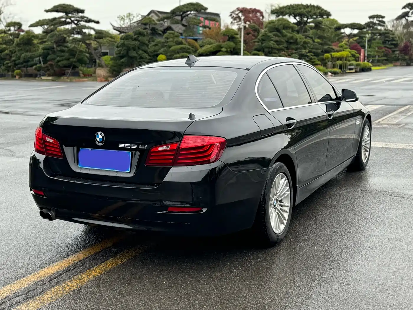 BMW 5 Series 2014 525Li Leading фото 12