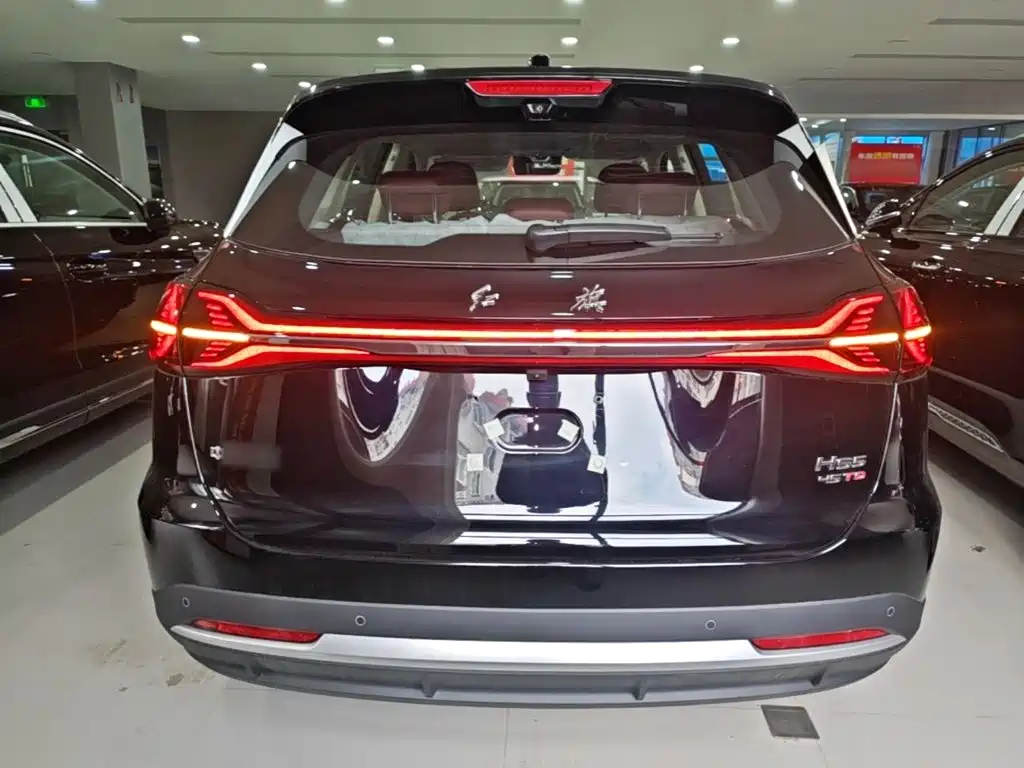 Фото 6 - Hongqi HS5