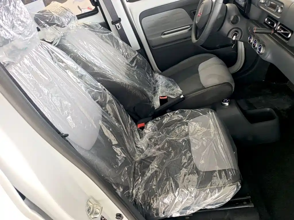 Wuling Motors Wuling Zhiguang NEV 2026 2025 Model 305km Base Version