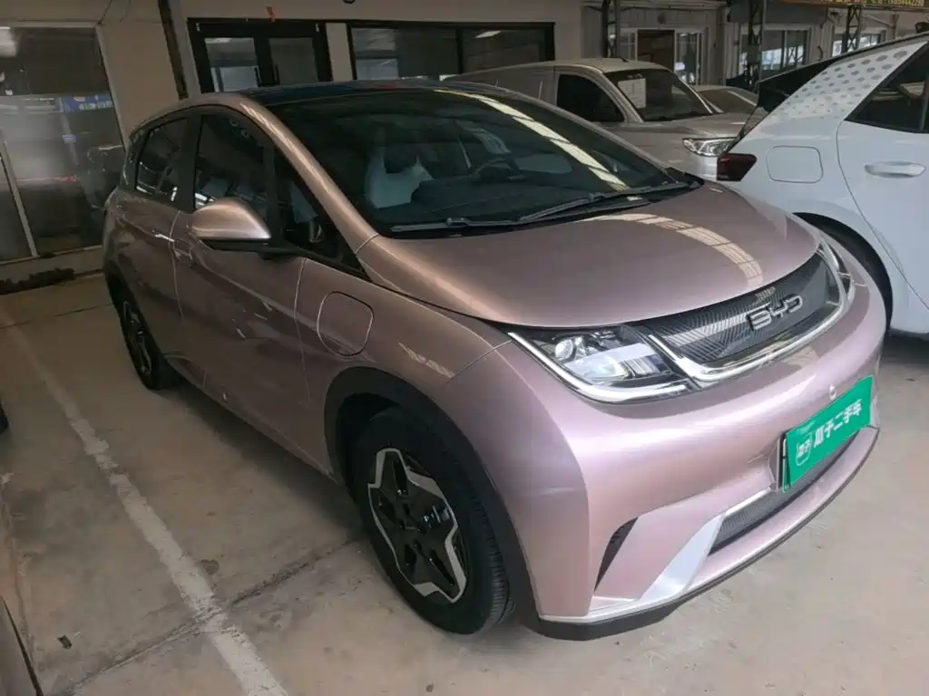 BYD Dolphin 2022 2021 Model 405km Fashion Edition