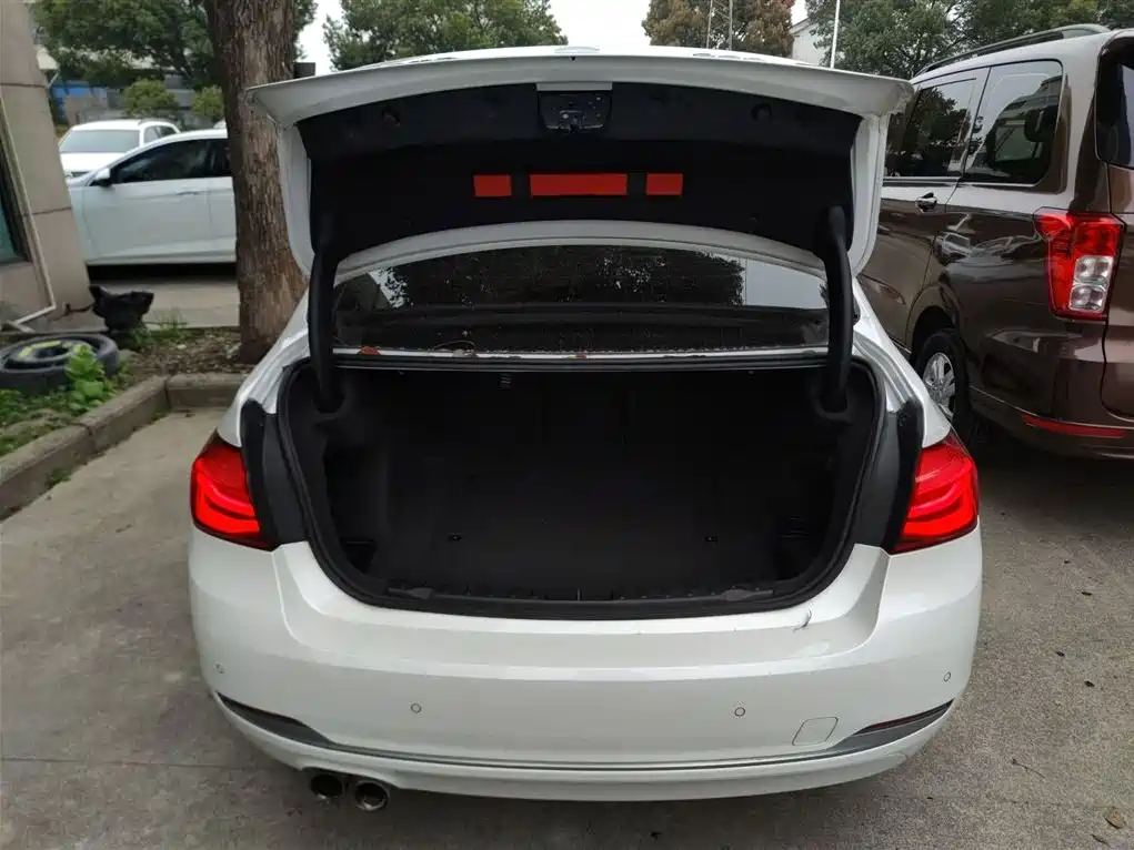 BMW 3 Series 2018 320Li Fashion Style фото 19