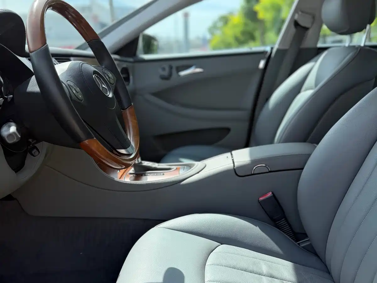 Mercedes-Benz CLS 2010 2009 CLS 300