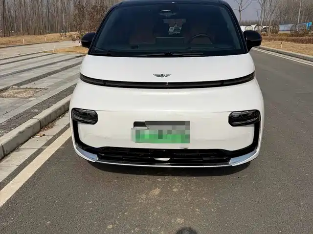 GEELY GALAXY WING TRUE L380