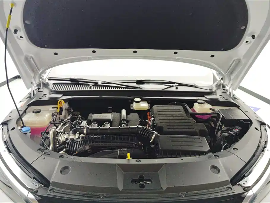 BYD Qin L 2024 DM-i 80KM Leading Edition фото 10