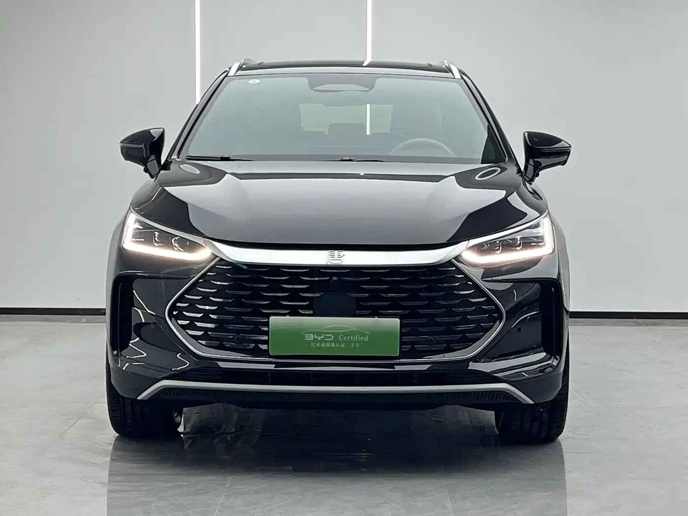 BYD Tang New Energy 2025 2025 Smart Driving Edition DM-i 115KM Flagship