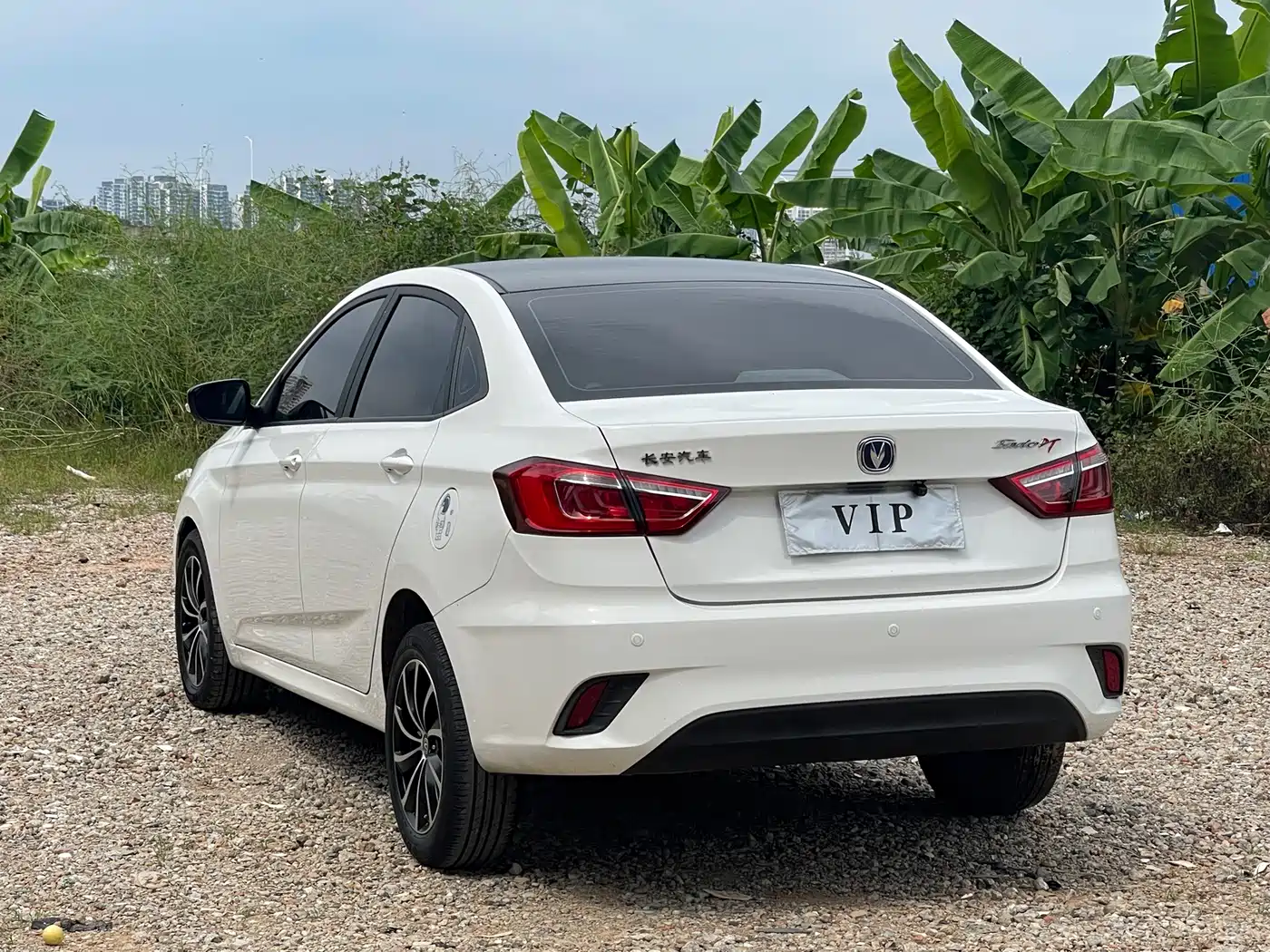 Changan Eado DT 2020 2019 1.6L Automatic Joy China VI