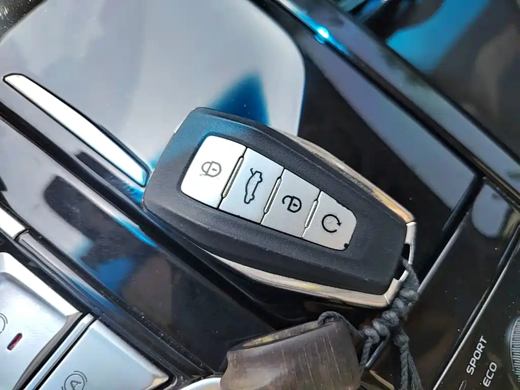 Geely Borui 2022 2021 1.8T Pilot Edition+