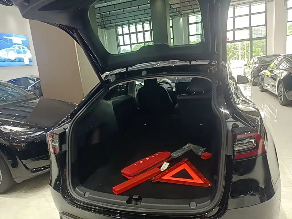 Tesla Model Y 2021 2021 Standard Range Rear-Wheel Drive