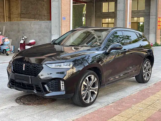 WEI PAI WEI BRAND VV7