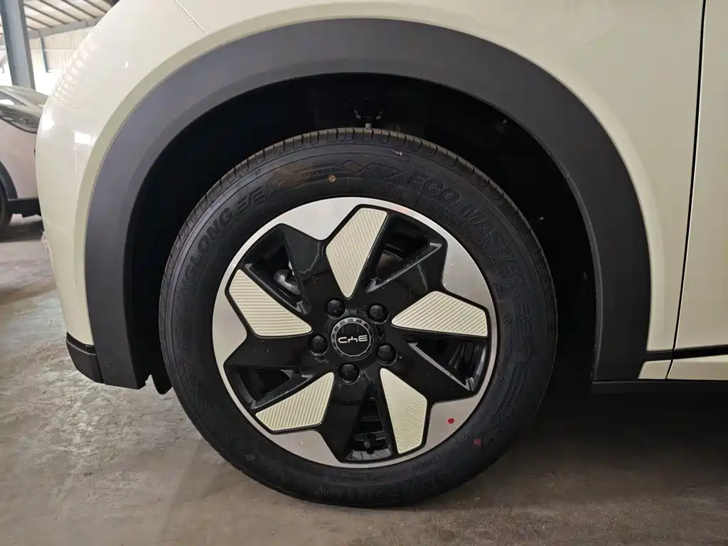 BYD Dolphin 2026 2025 420km Freedom Edition