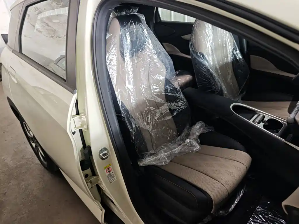 BYD Dolphin 2026 2025 420km Freedom Edition