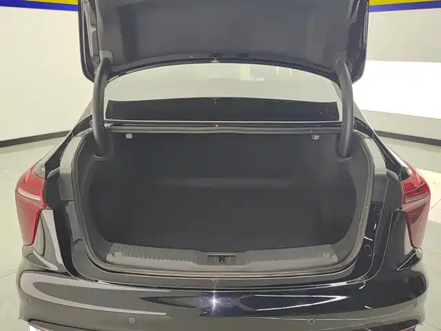 Hongqi H5 2024 1.5T DCT Smart Connect Flag Rhythm Edition — фото 4