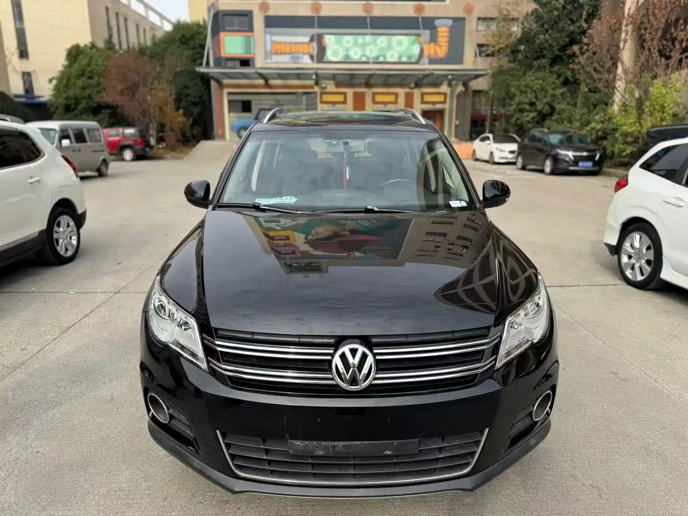 Volkswagen Tiguan 2013 1.8TSI Auto 2WD Trend Edition фото 2