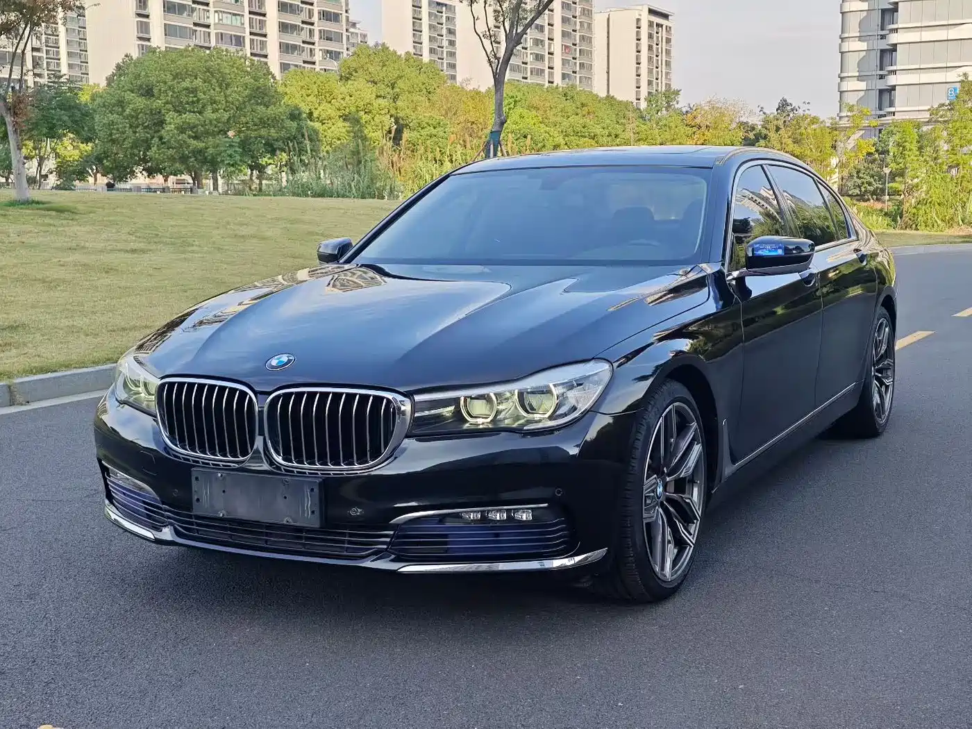 BMW 7 Series 2017 730Li Leading Edition