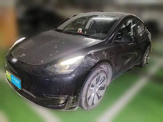Tesla Model Y 2021 Standard Range Rear-Wheel Drive — фото 1