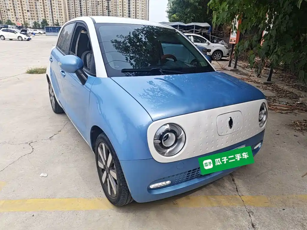 Ora Black Cat 2021 2021 351km Luxury Model