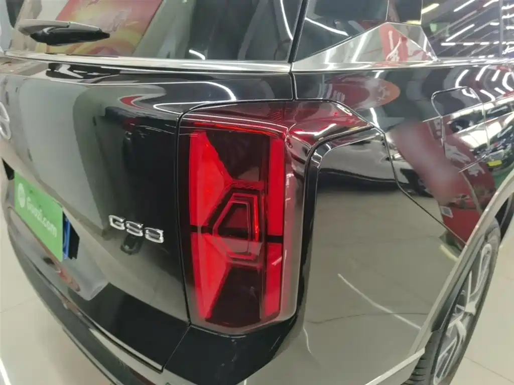 GAC Trumpchi Trumpchi GS8 2024 Navigator Series 2.0TGDI 2WD Luxury Smart Connect Edition фото 8