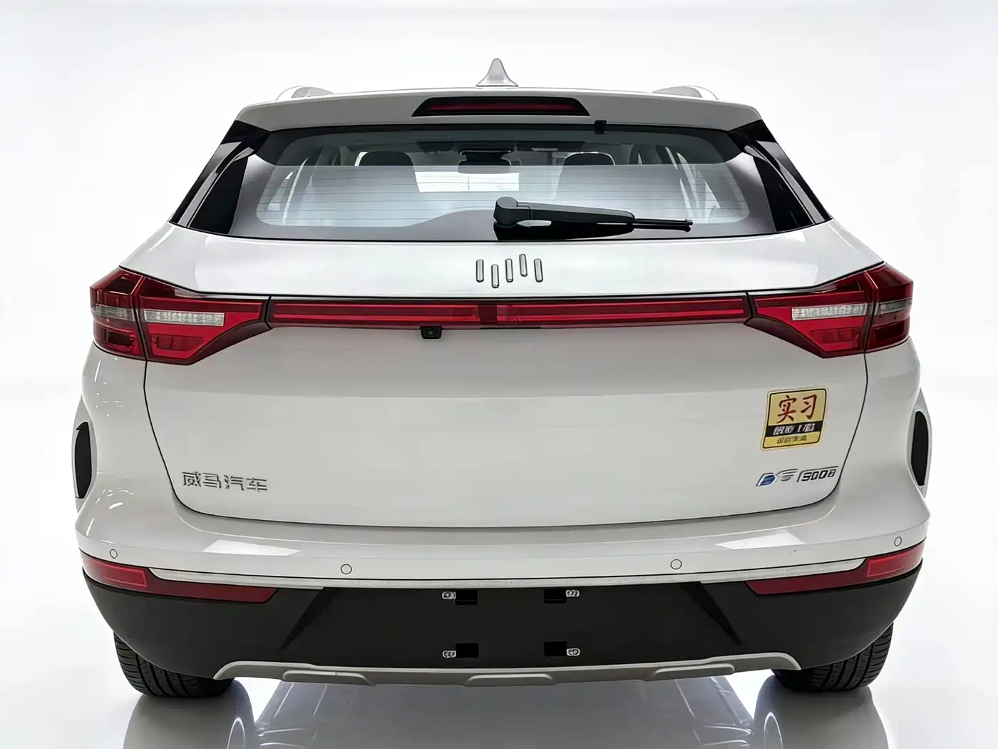 Weltmeister WEIMA EX5