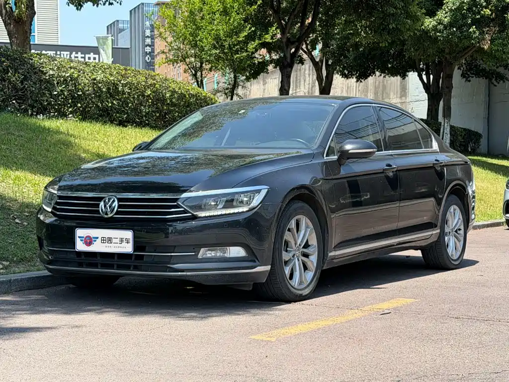 Volkswagen Magotan 2019 330TSI DSG Luxury Class China VI