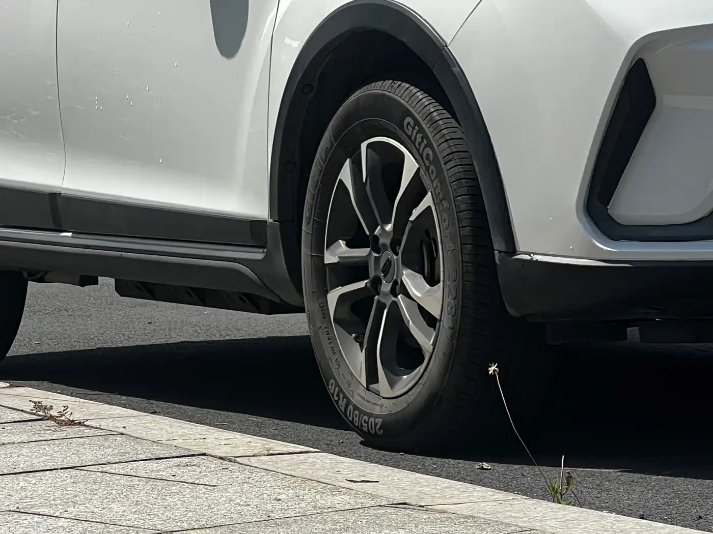 GEELY GEOMETRY EX3 KUNG FU COW