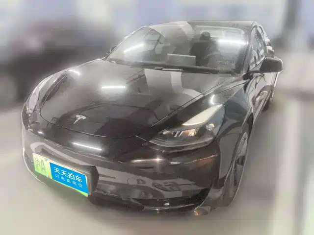 Tesla Model 3 2021 Standard Range Rear-Wheel Drive Upgrade 3D6 — фото 1