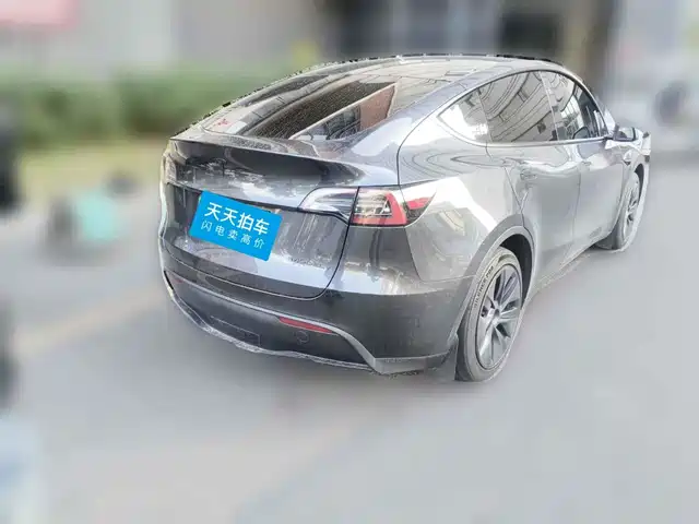 Tesla Model Y 2024 Rear-Wheel Drive Version — фото 2