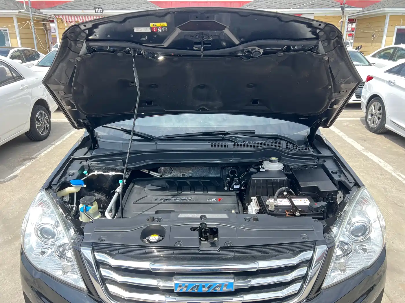 Haval H6 2017 Blue Label Sport 1.5T Auto 2WD Luxury фото 25