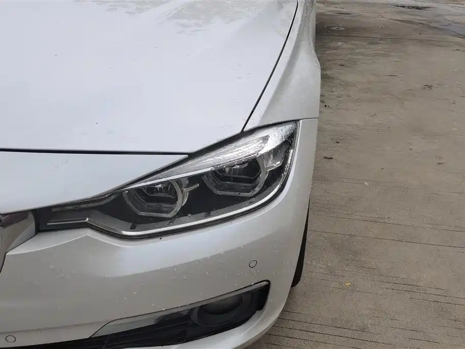 BMW 3 Series 2018 320Li Fashion Style фото 5