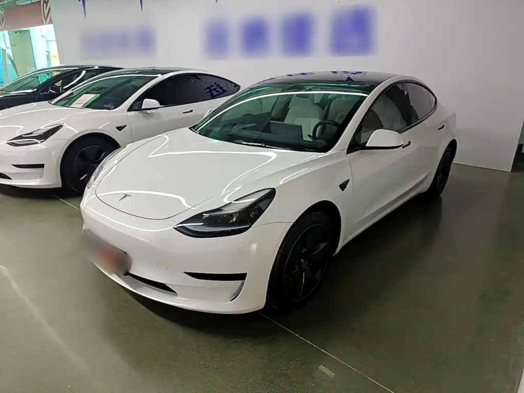 Tesla Model 3 2022 Model Rear-Wheel Drive Version
