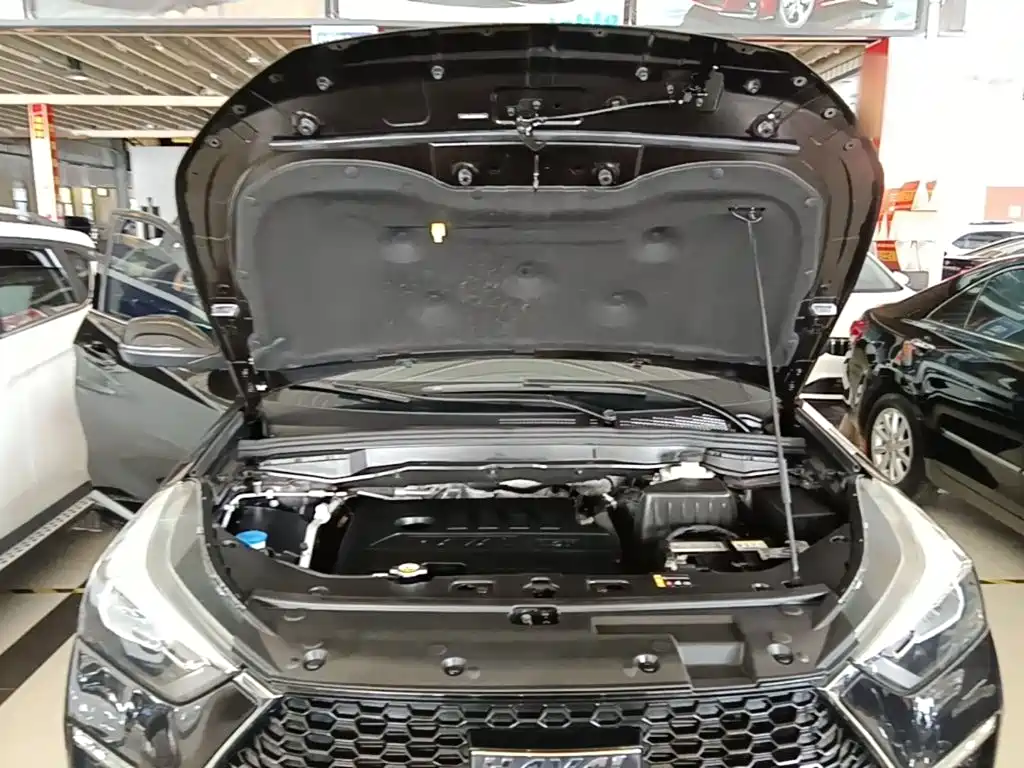 Haval H6 Coupe 2020 2020 Smart Connect Edition 1.5T Automatic 2WD Elite