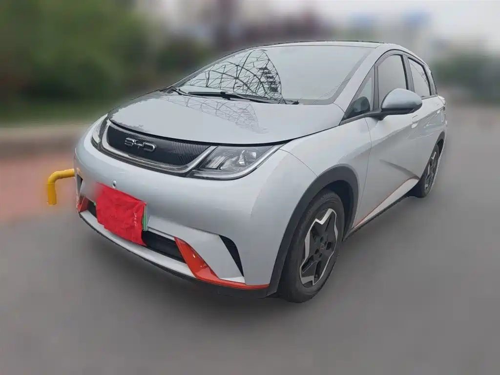 BYD Dolphin 2021 Model 405km Fashion Edition фото 2