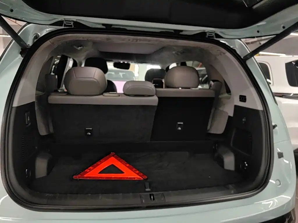ZEEKR MIX 2025 2025 Smart Driving Edition