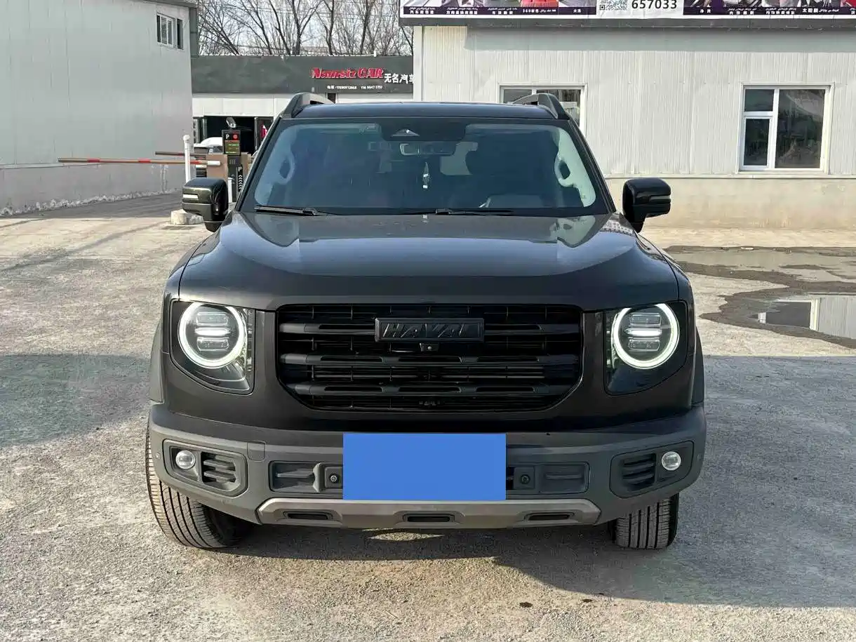 Haval Big Dog 2021 1.5T DCT 2WD Border Collie Edition фото 2