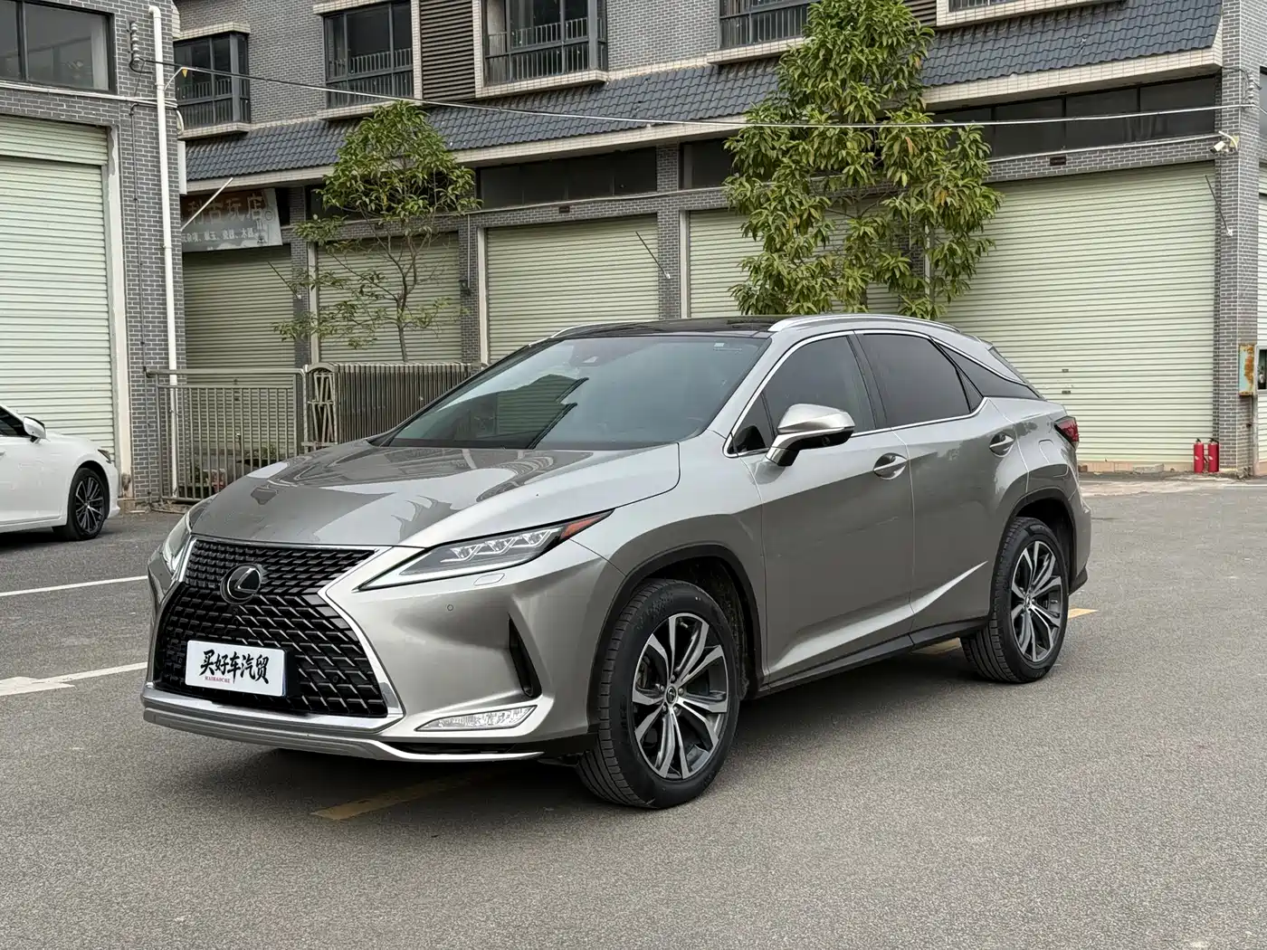 Lexus RX 2020 300 4WD Elegance Edition China VI