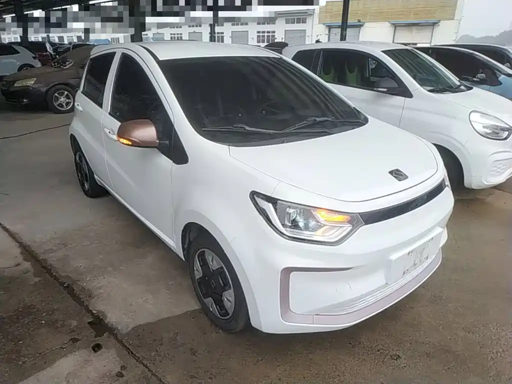 Sehol Flower Fairy 2023 2023 251km Four-leaf Clover 36kW