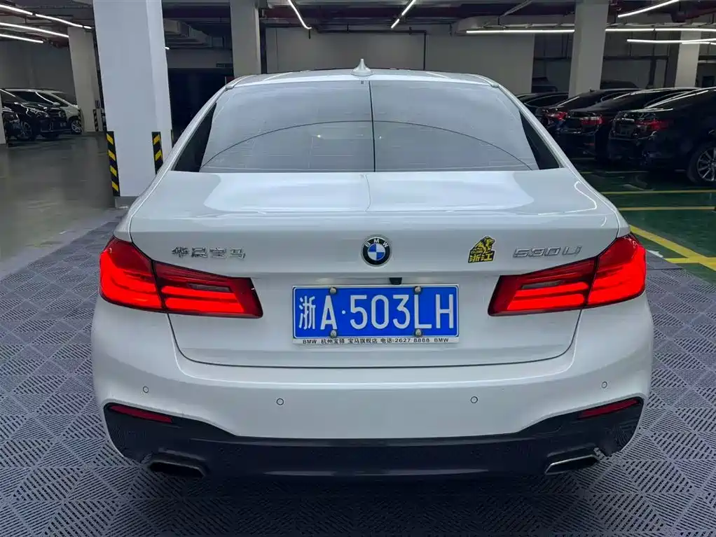 BMW 5 Series 2020 530Li Leading M Sport Package фото 5
